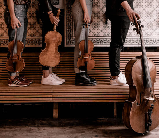 Bowriders String Quartet