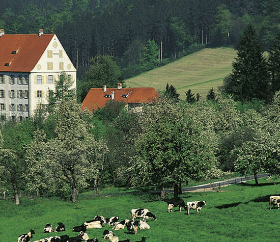 Beispiel: Außenansicht, Foto: Schloss Achberg.