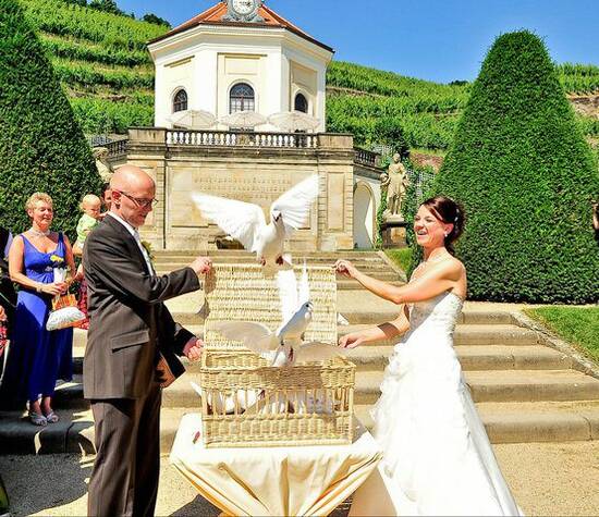 Beispiel: Hochzeitstauben am Schloss Wackerbarth, Foto: Ihre Hochzeitstauben.