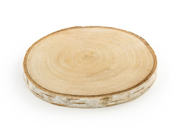 Dekoration Baumscheibe aus Holz: 2 Stück.