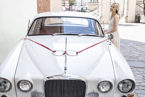 Autoschmuck Hochzeit Deep Red Rattan Bride & Groom Car Kit: 2 Ringe, Schleife & Blumensträuße und Türdekorationen